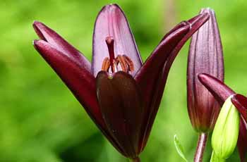 全平台兼容的ddos压力测试网页端