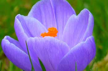 DDOS在线压力测试