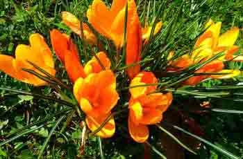 DDOS在线压力测试